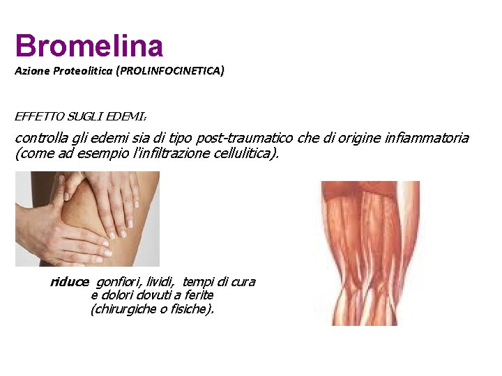 Bromelina Azione Proteolitica (PROLINFOCINETICA) EFFETTO SUGLI EDEMI: controlla gli edemi sia di tipo post-traumatico