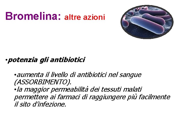 Bromelina: altre azioni • potenzia gli antibiotici • aumenta il livello di antibiotici nel