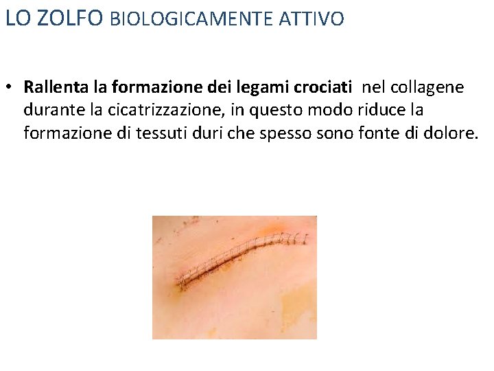 LO ZOLFO BIOLOGICAMENTE ATTIVO • Rallenta la formazione dei legami crociati nel collagene durante