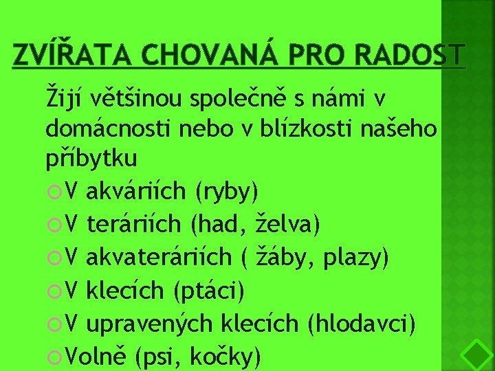 ZVÍŘATA CHOVANÁ PRO RADOST Žijí většinou společně s námi v domácnosti nebo v blízkosti