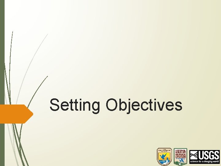 Setting Objectives 