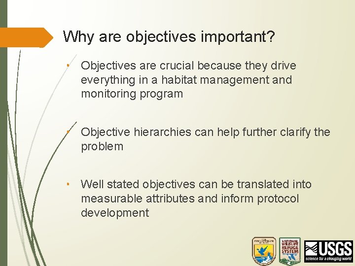 Why are objectives important? • Objectives are crucial because they drive everything in a