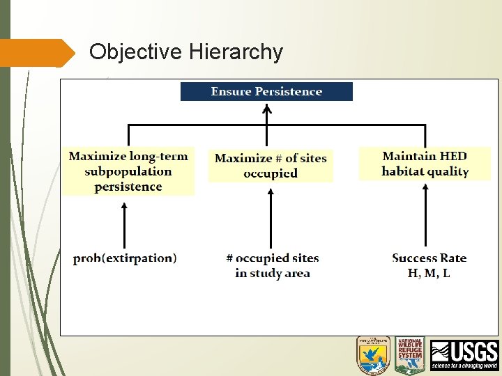 Objective Hierarchy 