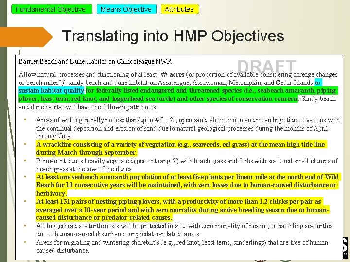 Fundamental Objective Means Objective Attributes Translating into HMP Objectives Barrier Beach and Dune Habitat