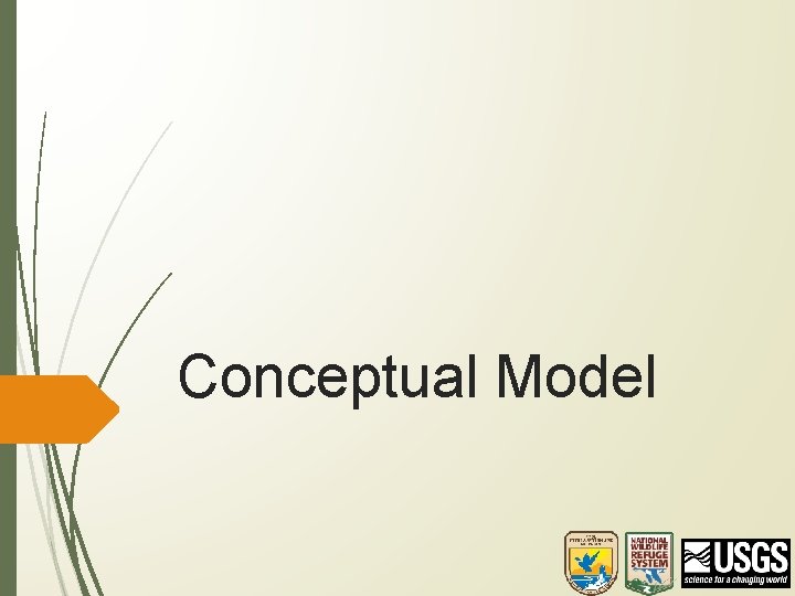 Conceptual Model 
