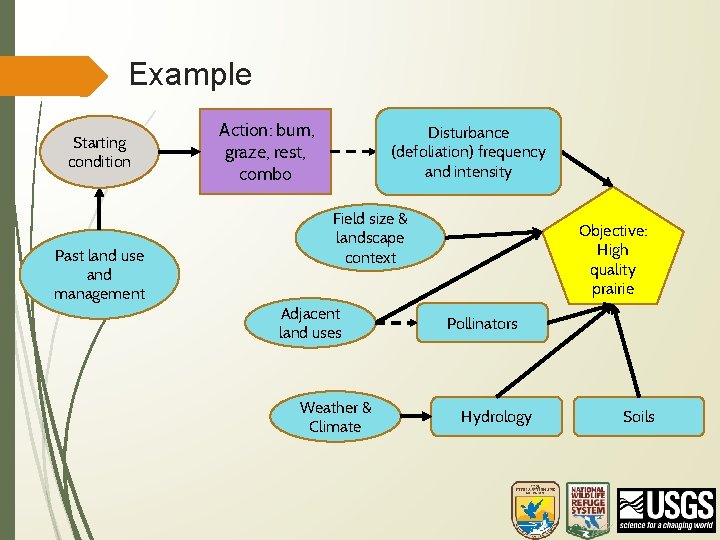 Example Starting condition Past land use and management Action: burn, graze, rest, combo Disturbance