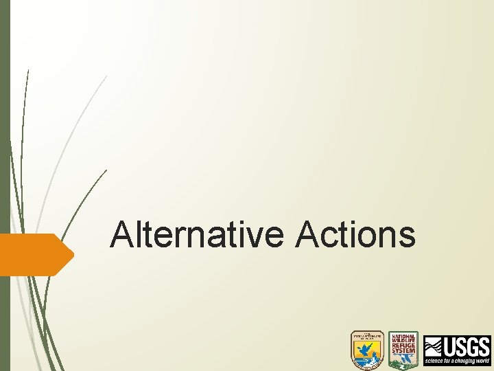 Alternative Actions 