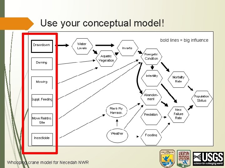 Use your conceptual model! bold lines = big influence Whooping crane model for Necedah