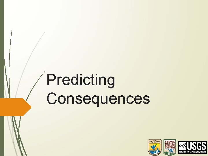 Predicting Consequences 