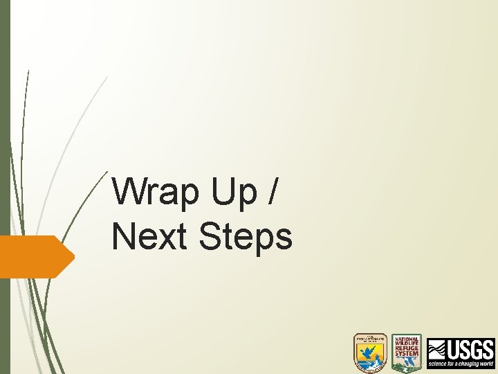 Wrap Up / Next Steps 