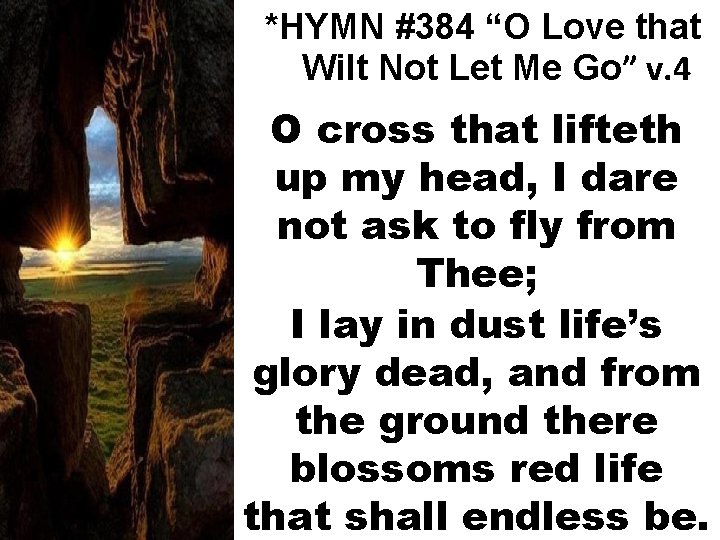 *HYMN #384 “O Love that Wilt Not Let Me Go” v. 4 O cross