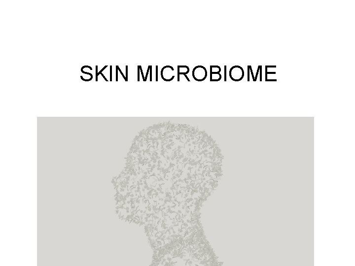 SKIN MICROBIOME 