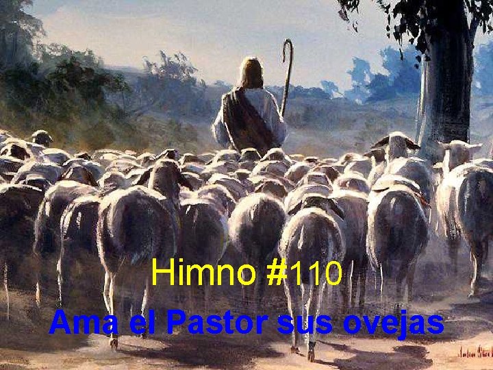 Himno #110 Ama el Pastor sus ovejas 