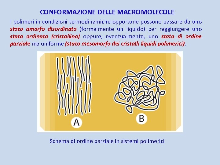 CONFORMAZIONE DELLE MACROMOLECOLE I polimeri in condizioni termodinamiche opportune possono passare da uno stato