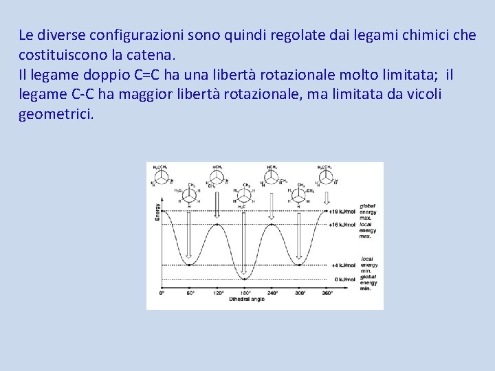 Le diverse configurazioni sono quindi regolate dai legami chimici che costituiscono la catena. Il