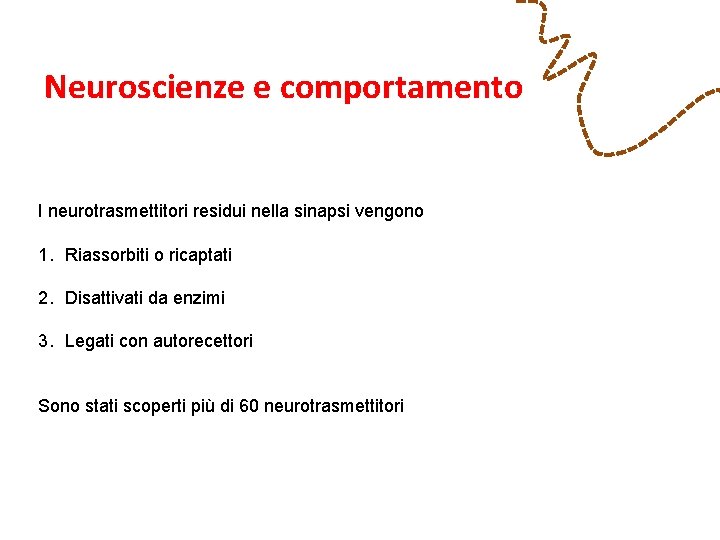 Neuroscienze e comportamento I neurotrasmettitori residui nella sinapsi vengono 1. Riassorbiti o ricaptati 2.