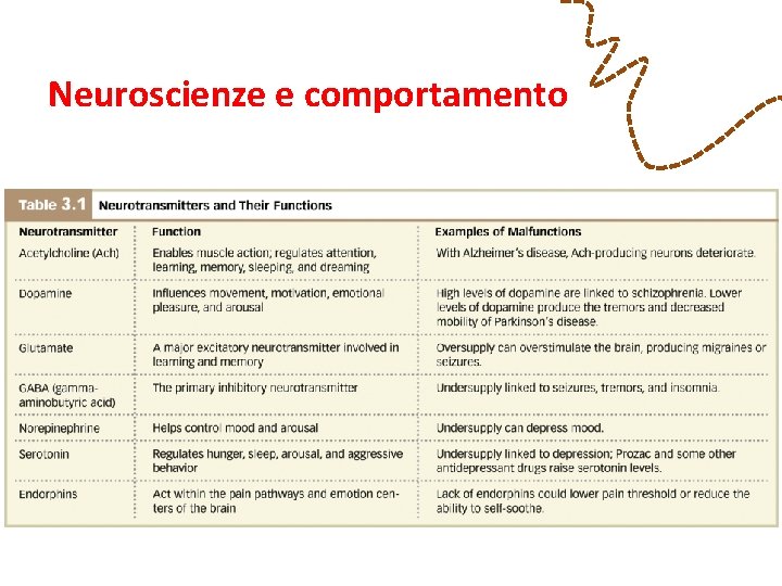 Neuroscienze e comportamento 