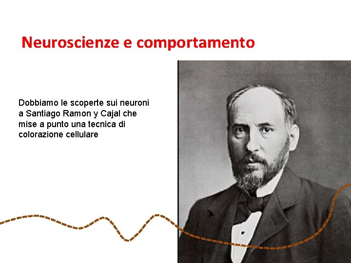 Neuroscienze e comportamento Dobbiamo le scoperte sui neuroni a Santiago Ramon y Cajal che