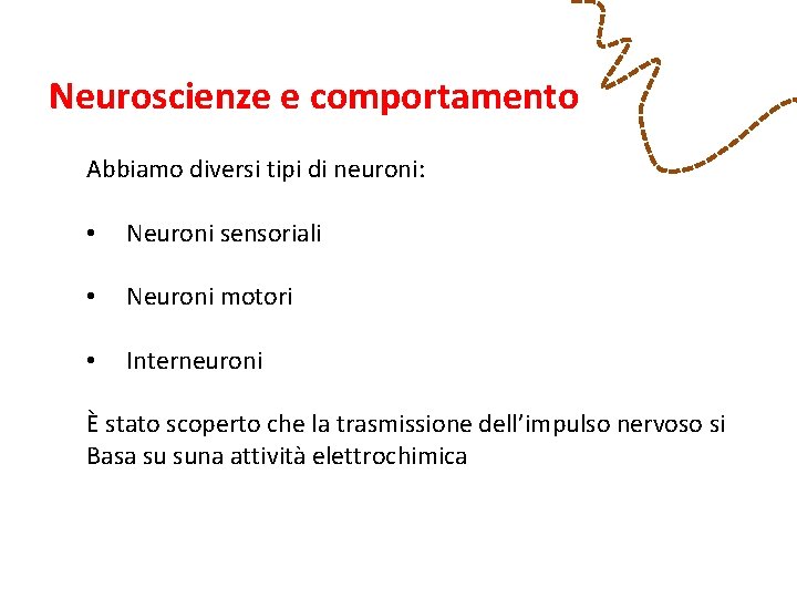 Neuroscienze e comportamento Abbiamo diversi tipi di neuroni: • Neuroni sensoriali • Neuroni motori