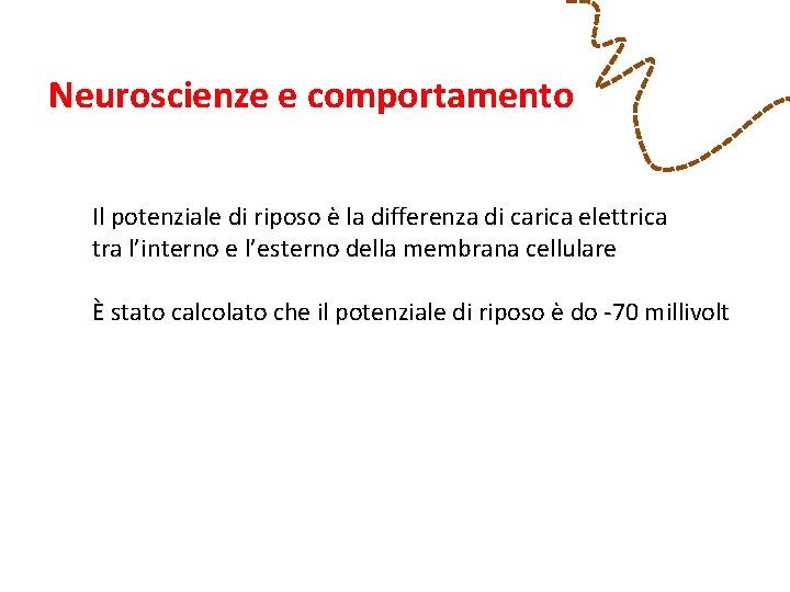 Neuroscienze e comportamento Il potenziale di riposo è la differenza di carica elettrica tra