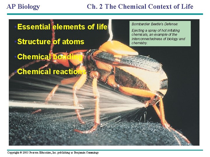 AP Biology Ch. 2 The Chemical Context of Life • Essential elements of life