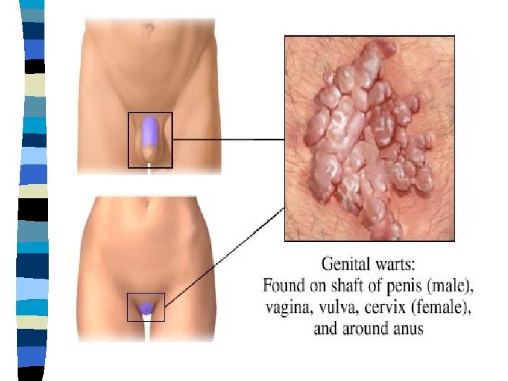 Illustration copyright 2002 Nucleus Communications, Inc. All rights reserved. http: //www. nucleusinc. com Illustration copyright 2002 Nucleus Communications, Inc. All rights reserved. http: //www. nucleusinc. com