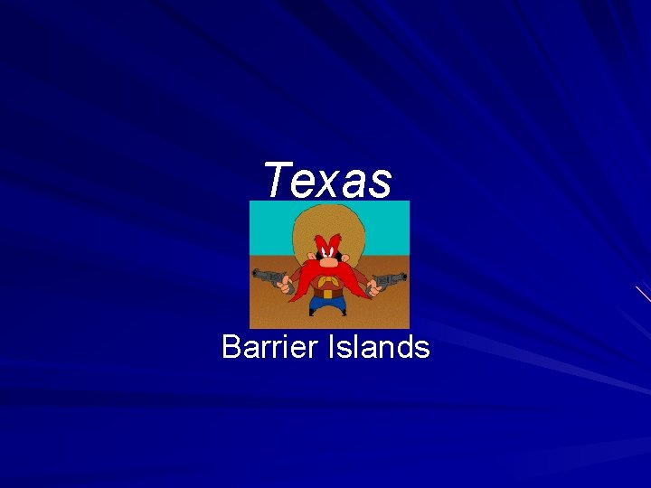 Texas Barrier Islands 