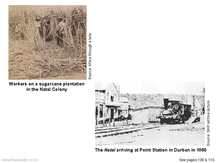 Source: Africa through a lens Source: SAR archive picture Workers on a sugarcane plantation