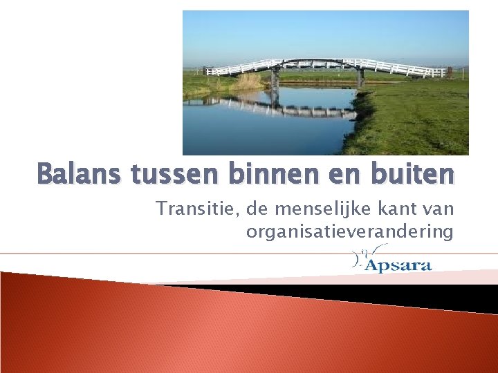 Balans tussen binnen en buiten Transitie, de menselijke kant van organisatieverandering 