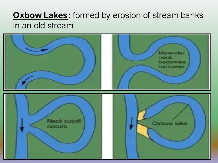 Oxbow Lakes: formed by erosion of stream banks in an old stream. 