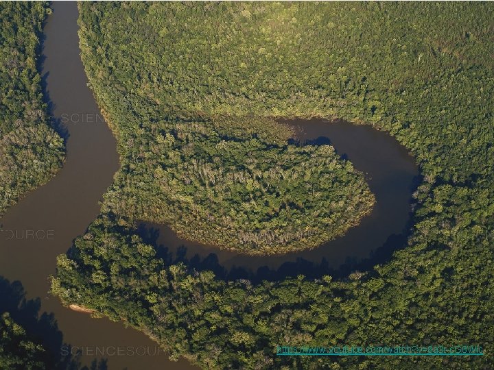 https: //www. youtube. com/watch? v=8 a 3 r-c. G 8 Wic 