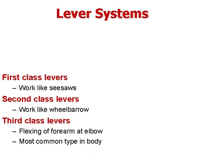 Lever Systems First class levers – Work like seesaws Second class levers – Work