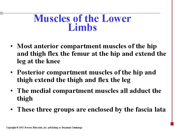 Muscles of the Lower Limbs • Most anterior compartment muscles of the hip and