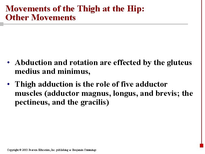 Movements of the Thigh at the Hip: Other Movements • Abduction and rotation are