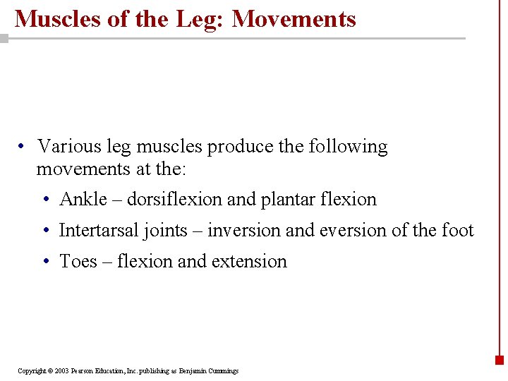 Muscles of the Leg: Movements • Various leg muscles produce the following movements at