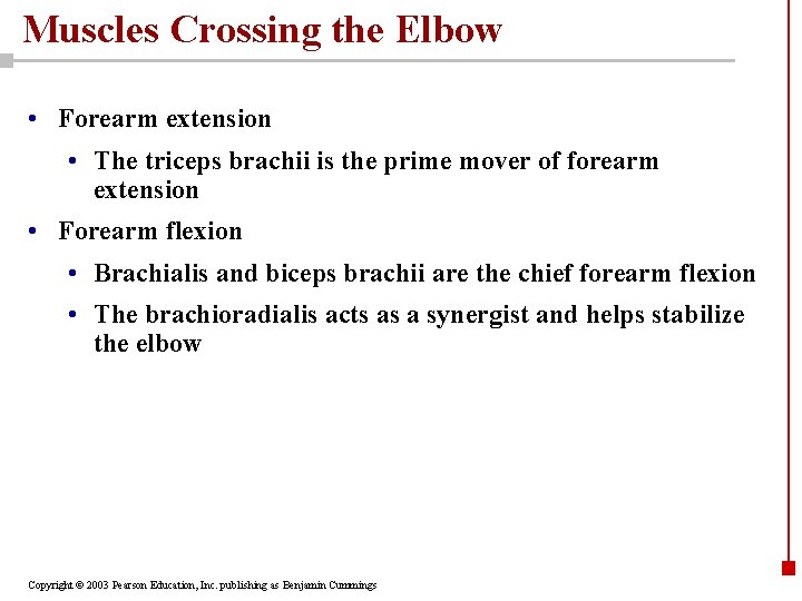 Muscles Crossing the Elbow • Forearm extension • The triceps brachii is the prime