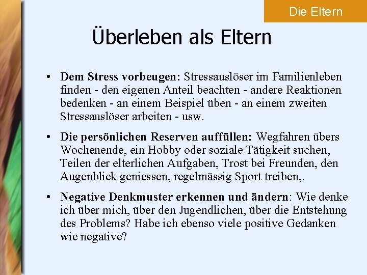 Die Eltern Überleben als Eltern • Dem Stress vorbeugen: Stressauslöser im Familienleben finden -