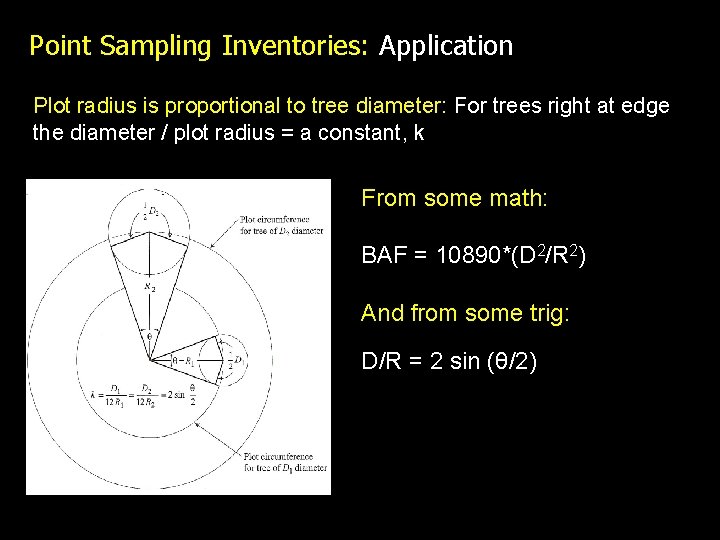 Point Sampling Inventories: Application Plot radius is proportional to tree diameter: For trees right