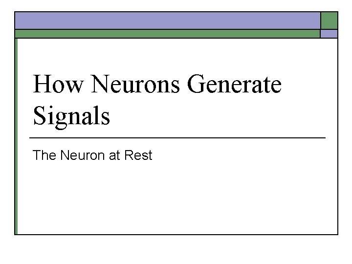 How Neurons Generate Signals The Neuron at Rest 