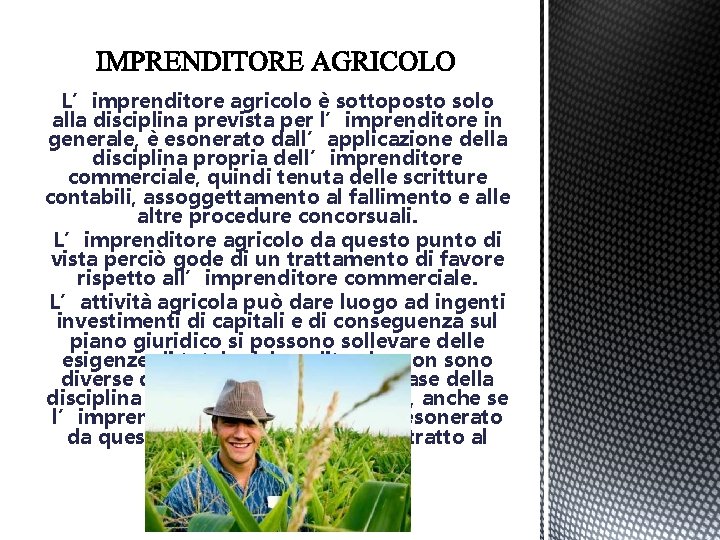 L’imprenditore agricolo è sottoposto solo alla disciplina prevista per l’imprenditore in generale, è esonerato