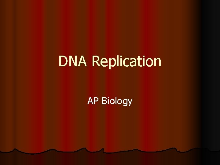 DNA Replication AP Biology 