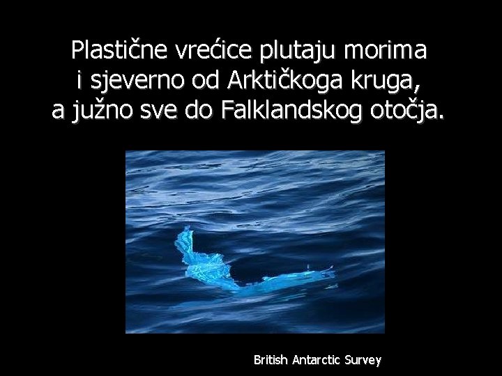 Plastične vrećice plutaju morima i sjeverno od Arktičkoga kruga, a južno sve do Falklandskog