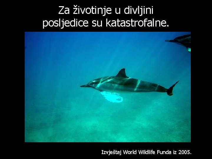 Za životinje u divljini posljedice su katastrofalne. Izvještaj World Wildlife Funda iz 2005. 