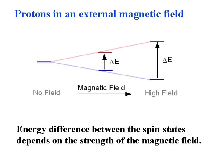 Protons in an external magnetic field Energy difference between the spin-states depends on the