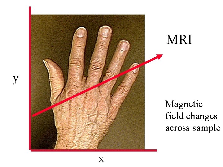 MRI y Magnetic field changes across sample x 