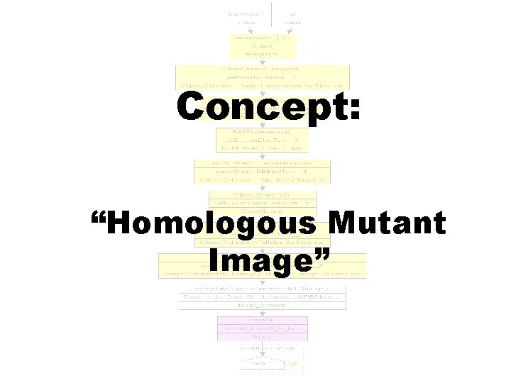 Concept: “Homologous Mutant Image” 