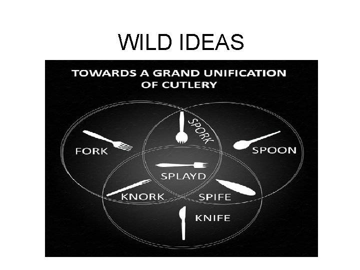 WILD IDEAS 