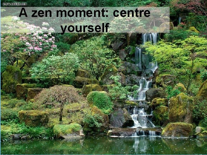 A zen moment: centre yourself 