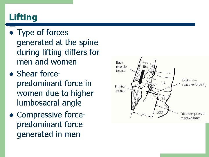 Lifting l l l Type of forces generated at the spine during lifting differs
