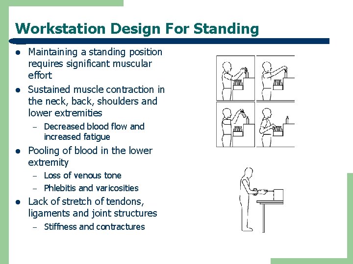 Workstation Design For Standing l l Maintaining a standing position requires significant muscular effort